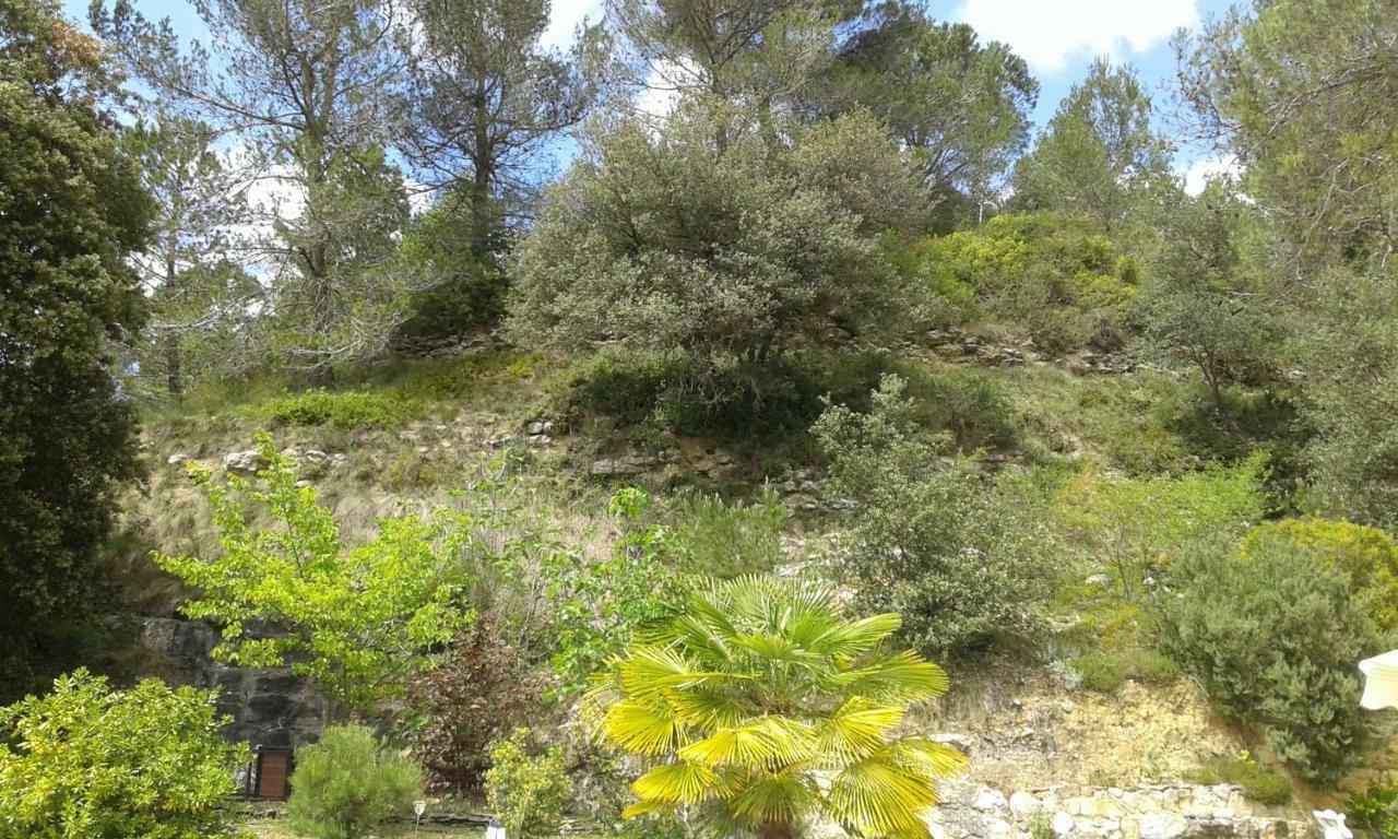 Gite Sud de France-Carcassonne chez Léa Aragon Esterno foto